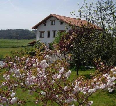 Posada Valle De Gueemes Dış mekan fotoğraf